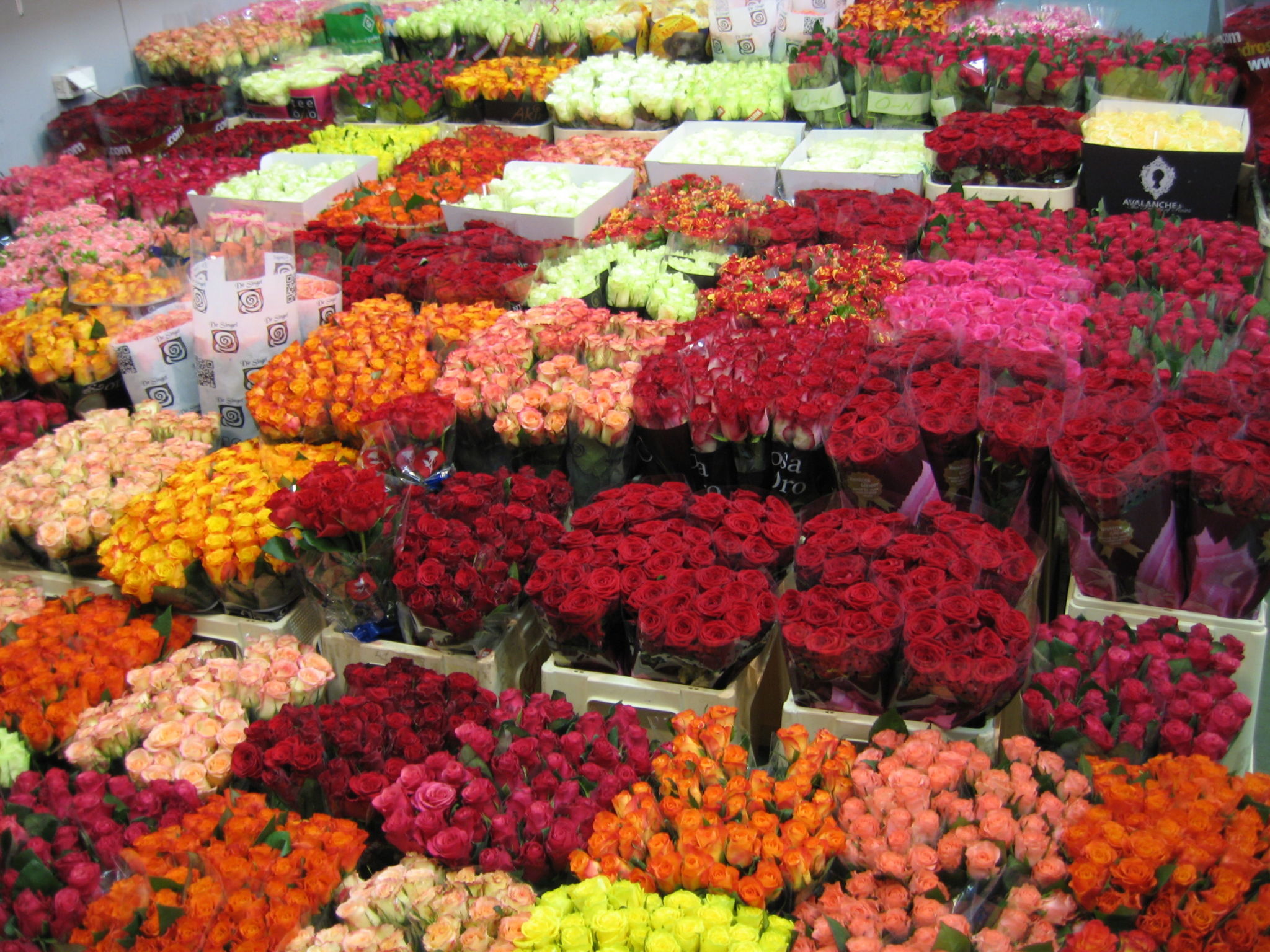 Где В Нижнем Купить Цветы Недорого