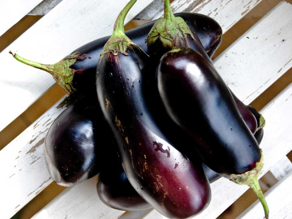 Баклажаны и их применение в кулинарии Баклажаны в кулинарии