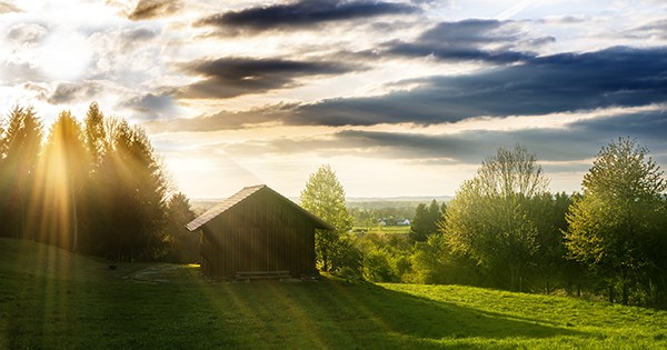 Преимущества установки душевой кабины и критерии при выборе dachnie idei