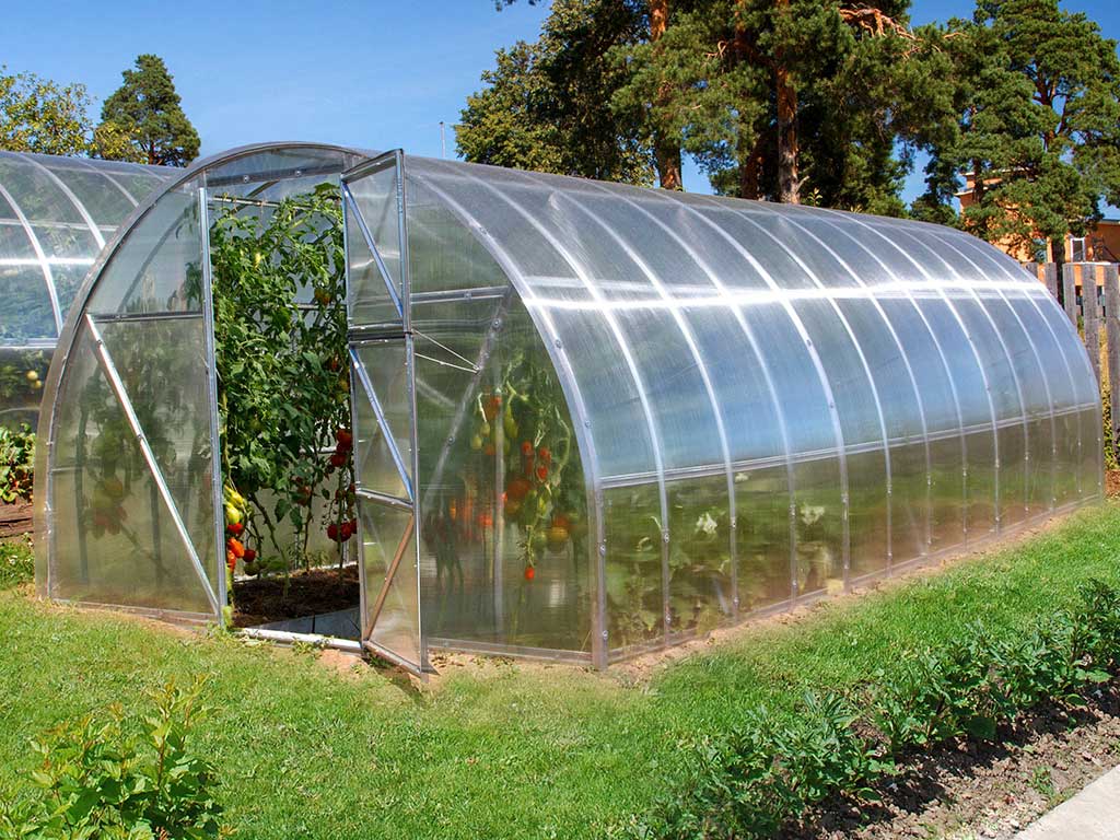 Теплица из поликарбоната Теплица из поликарбоната