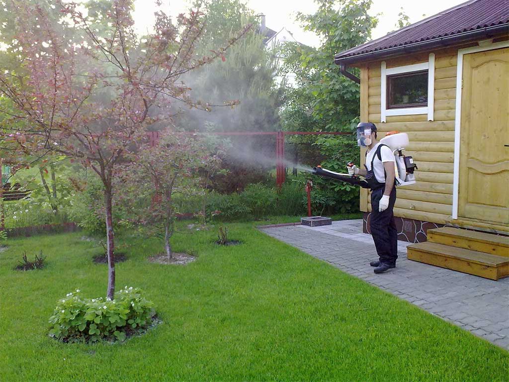 Как уберечь урожай от вредителей