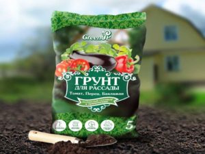 Грунт для рассады