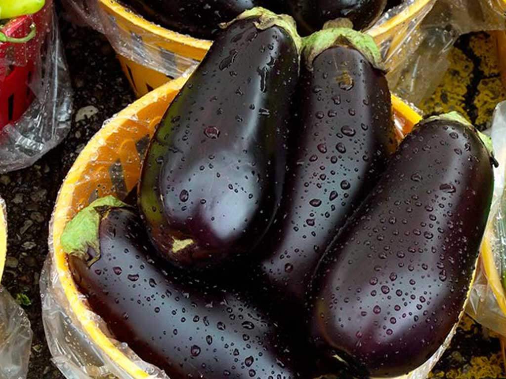 Баклажаны Баклажаны