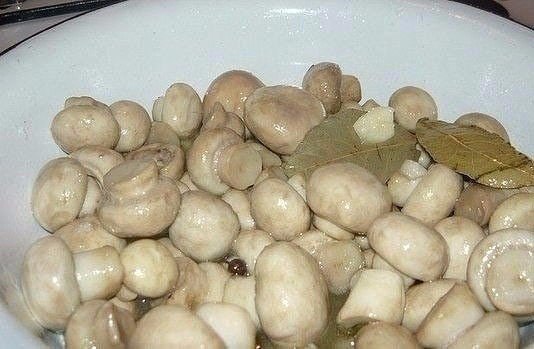 Маринуйте грибы сами