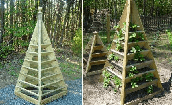 Выращивание клубники в пирамидах