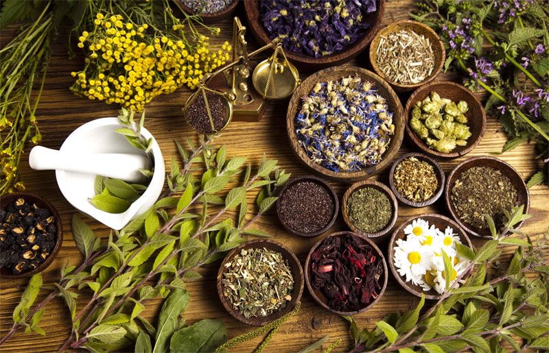 Женские травы