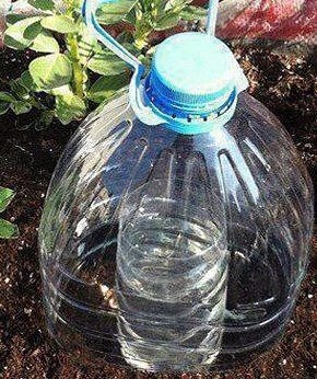 способ полива из пластиковых бутылок