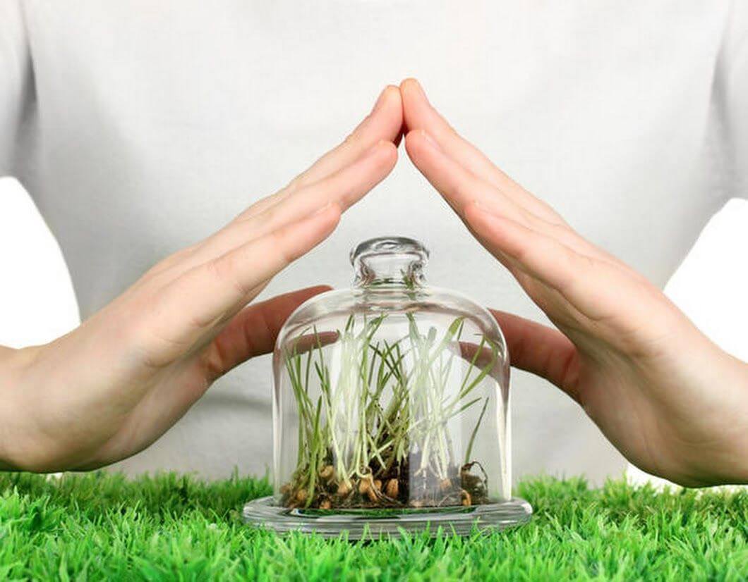 Настои и отвары против вредителей!