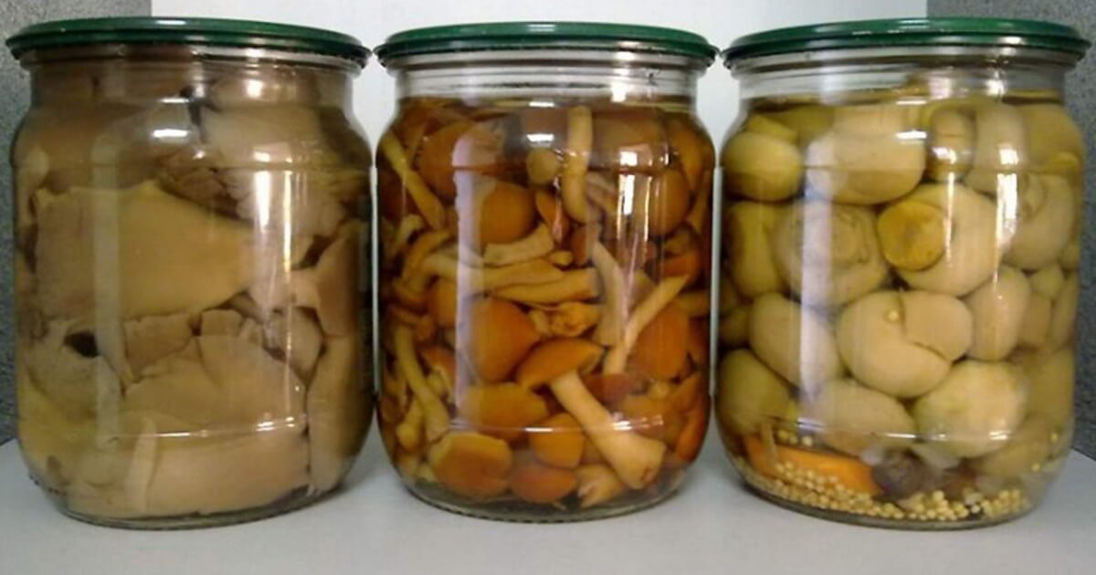 10 вкуснейших и нежнейших заготовок из грибов на зиму