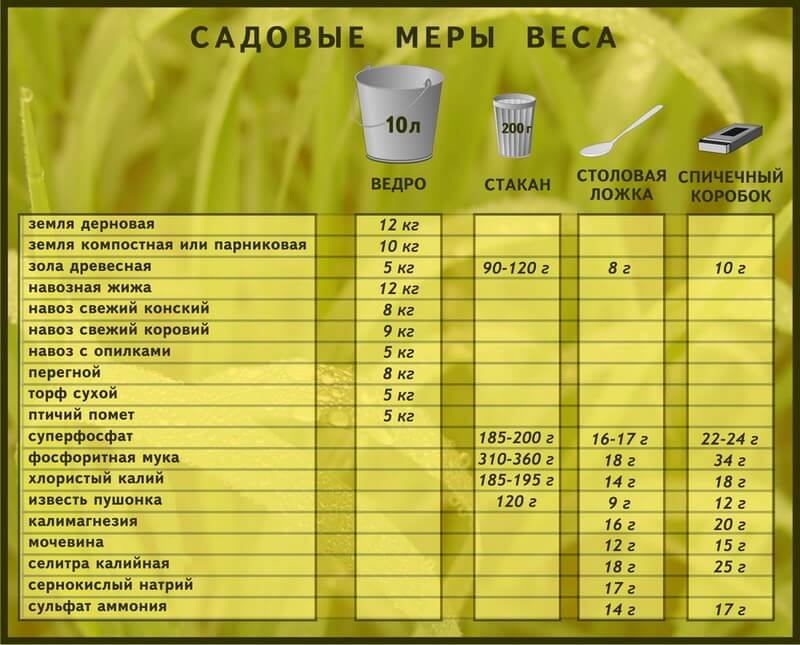 1 2 чайной ложки это сколько в картинках соды