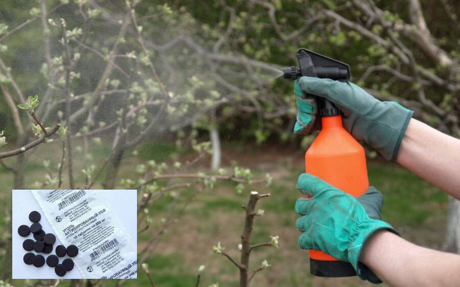 Просроченные лекарства для сада-огорода