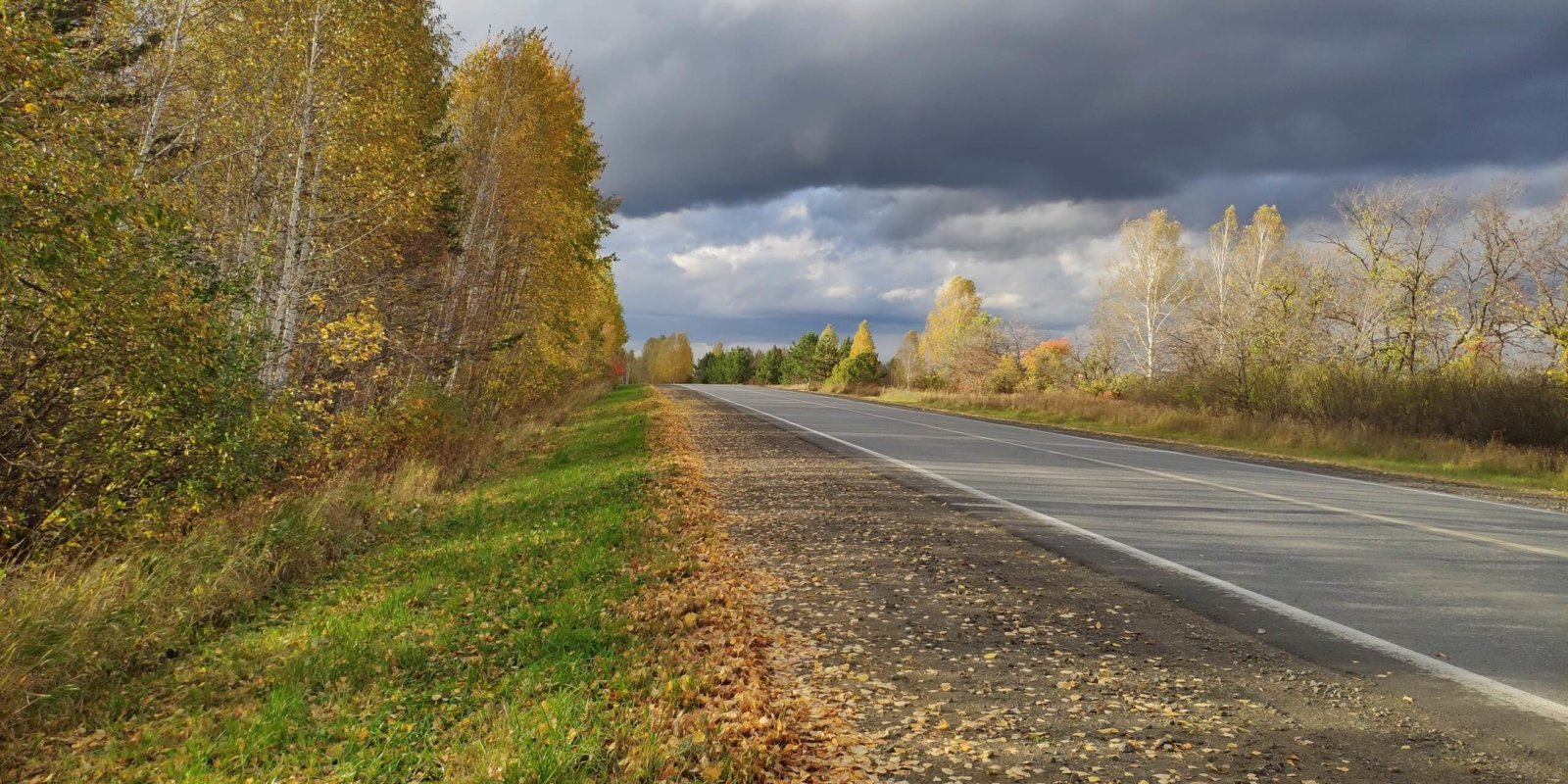 Осенние работы в саду