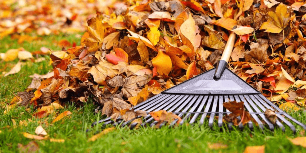 Завершение дачного сезона