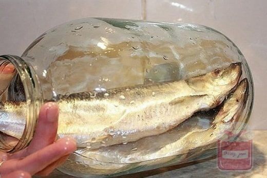 Селёдка в банке