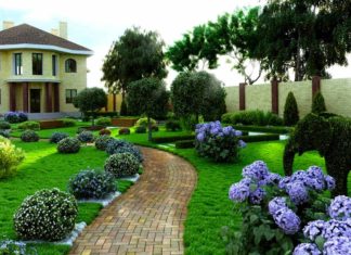 Услуги ландшафтного дизайна Услуги ландшафтного дизайна