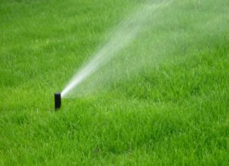 Основные правила ухода за газоном Основные правила ухода за газоном