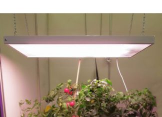 Солнцедар Солнцедар