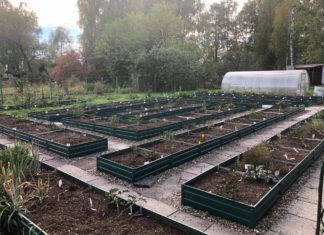 Советы по домашней грядке! Советы по домашней грядке!