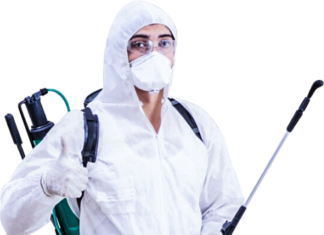 Как вывести мошек из дома? Как вывести мошек из дома?