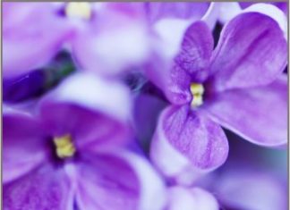 Магазин обоев и светильников Магазин обоев и светильников