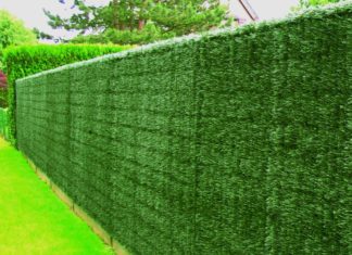 Для чего нужен зеленый забор? Для чего нужен зеленый забор?