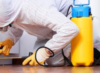 Устранение насекомых дома Устранение насекомых дома