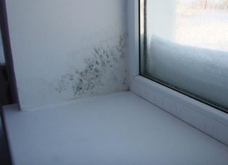 Почему появляется плесень на откосах окон и что делать Почему появляется плесень на откосах окон и что делать