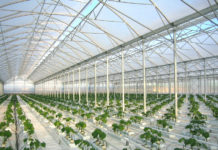 Где заказать промышленные теплицы? Где заказать промышленные теплицы?