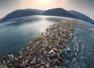 Загрязненный океан – проблема современного общества Загрязненный океан – проблема современного общества