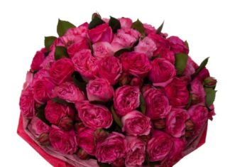 Где заказать качественные цветы? Где заказать качественные цветы?