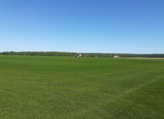 Что такое Скарификатор? Что такое Скарификатор?