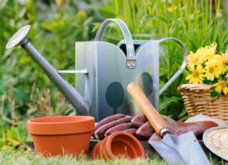 Какие садово-огородные инструменты купить на дачу? Какие садово-огородные инструменты купить на дачу?
