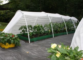 Причины популярности парников «Удачный Урожай» Причины популярности парников «Удачный Урожай»