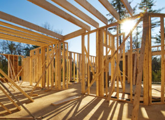 Ель или сосна: что выбрать для строительства каркасного дома? Ель или сосна: что выбрать для строительства каркасного дома?