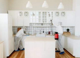 Как избавиться от насекомых в квартире Как избавиться от насекомых в квартире