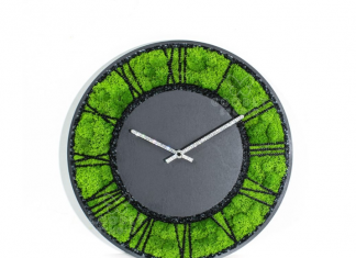 Картины из мха: история, как создаются, современные тенденции Картины из мха: история, как создаются, современные тенденции