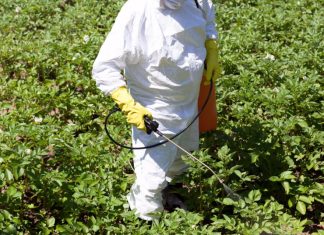 Инсектициды: что это и как они работают?