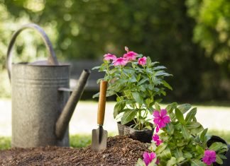 Дачная аптечка: как провести лето без осложнений