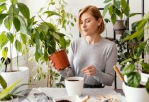 Подбор и забота о растениях: ключевые моменты