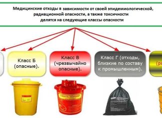 Биологические отходы, как вид мусора