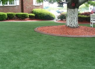 Где купить лучший газон для своего участка?