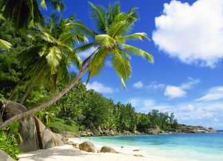 Как выбрать туры на Сейшелы?