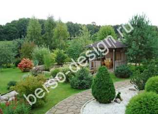 Красивое озеленение своей частной территории