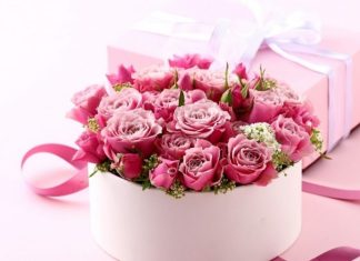 Кустовые розы и что учитывать при выборе?