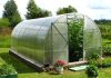 Нужна теплица? Читайте эту статью!
