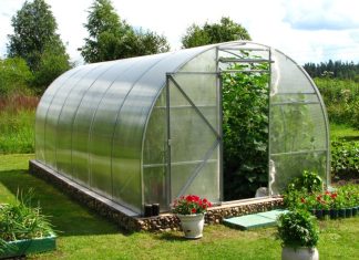 Нужна теплица? Читайте эту статью!