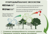 Разработка устойчивых проектов освоения лесов: баланс экономики и экологии