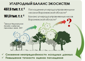 Разработка устойчивых проектов освоения лесов: баланс экономики и экологии
