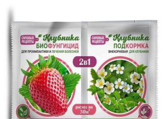 Смесь от вредителей и болезней для клубники
