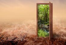 Двери с защитой от выцветания для долговечной красоты вашего интерьера